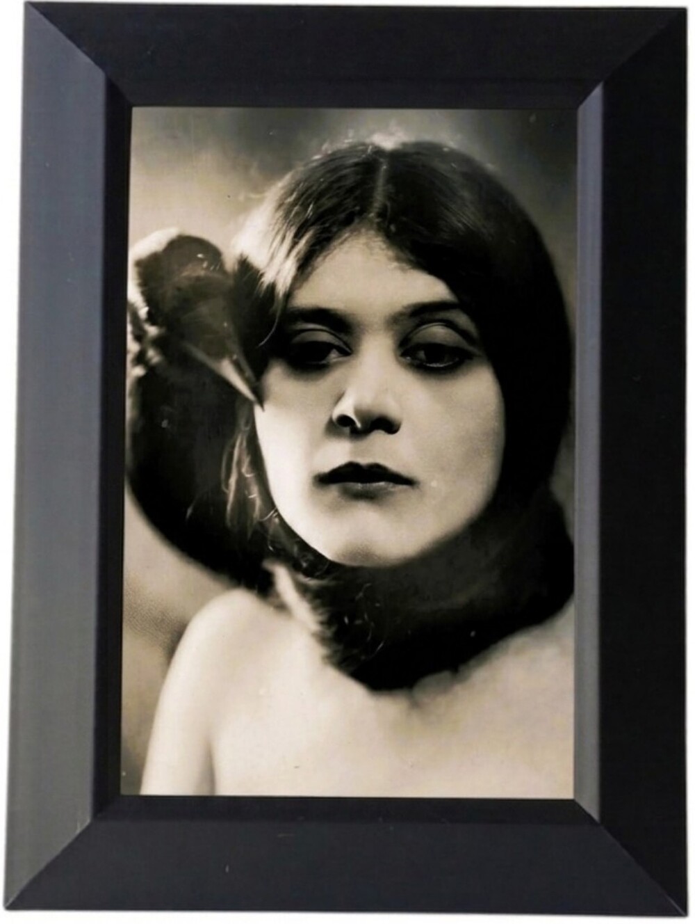 Wiccan gift witch with raven vintage photography black and white framed Photo